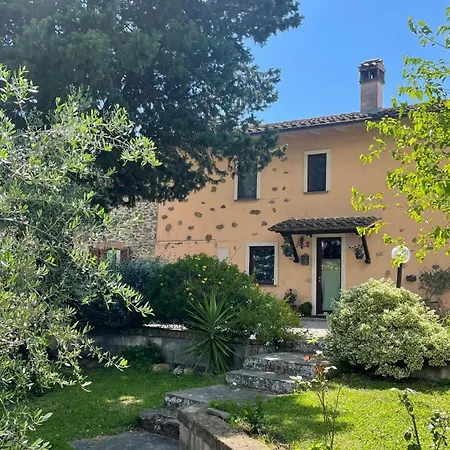 Tra Gli Ulivi E Il Panorama *