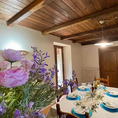 Tra Gli Ulivi E Il Panorama Orvieto